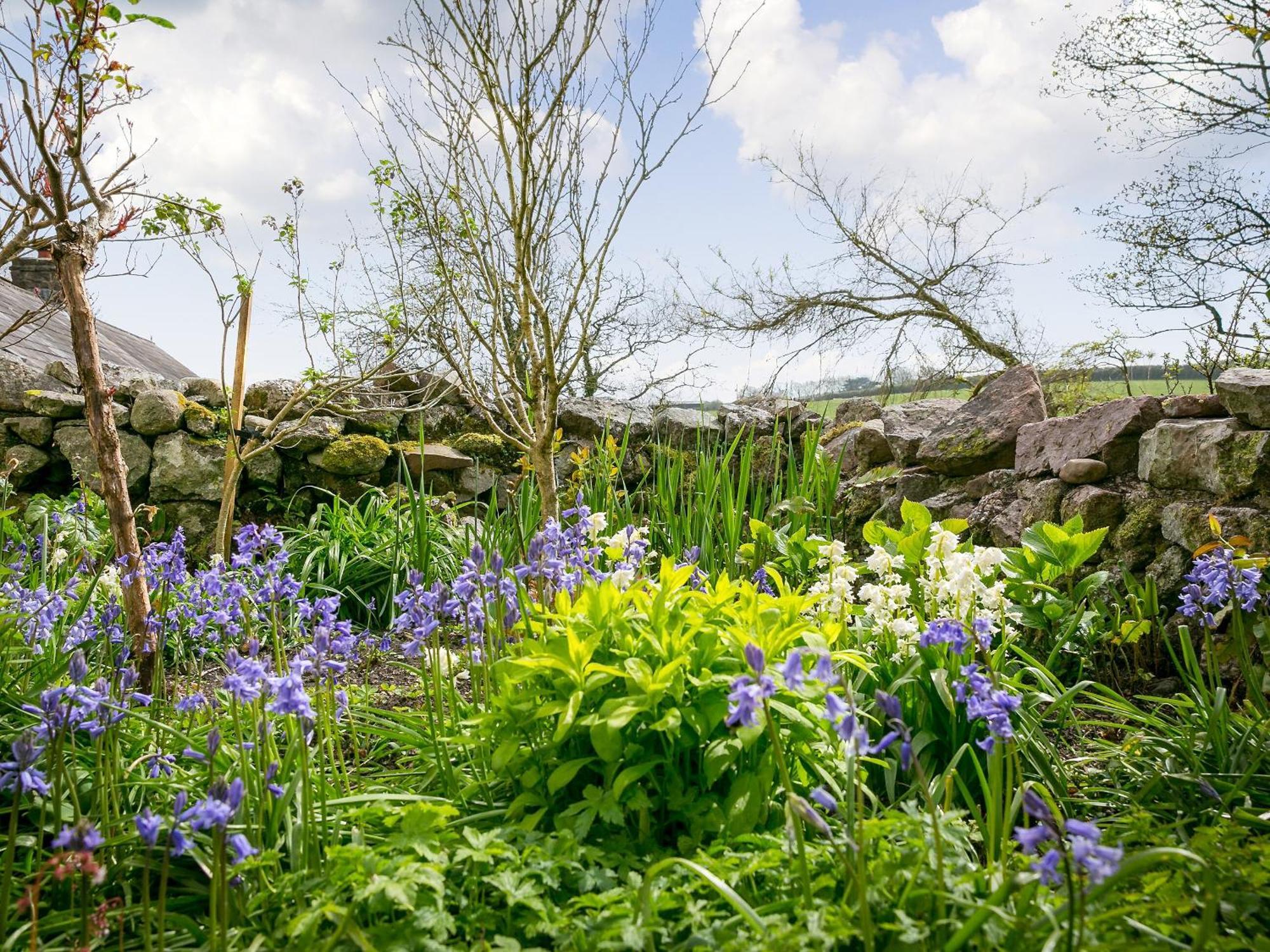 Teal Villa Llangennith Kültér fotó